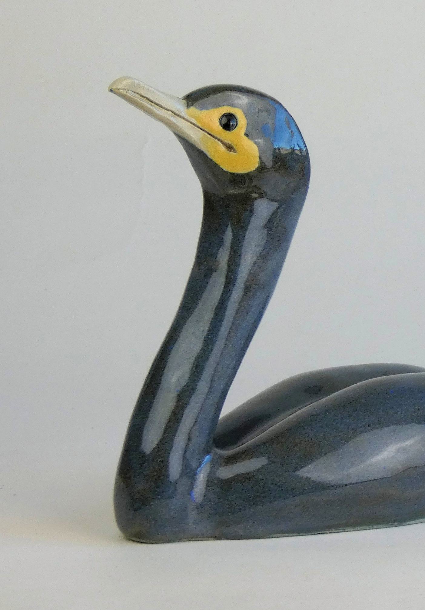 Aalscholver