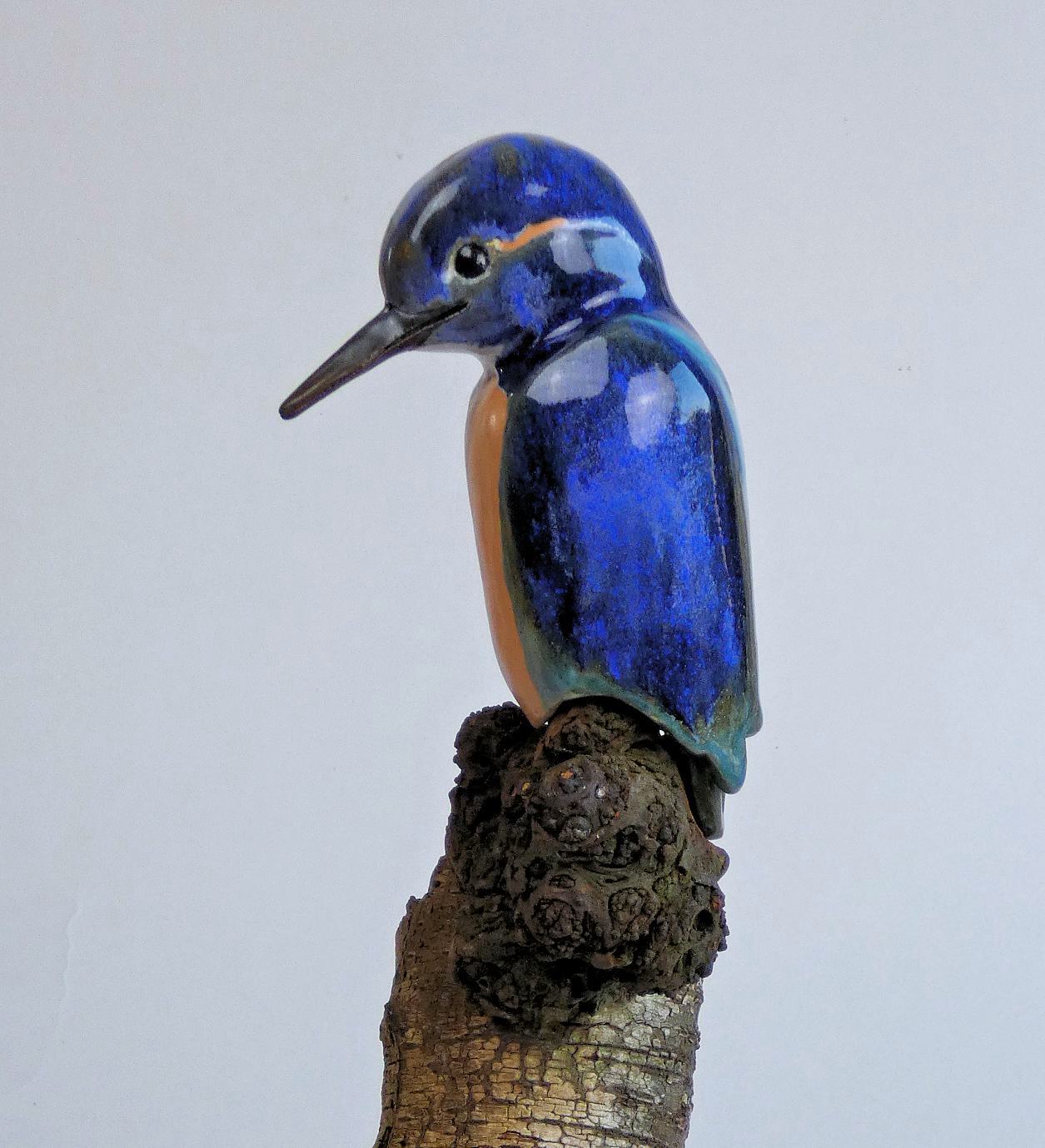 IJsvogel
