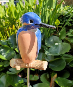 ijsvogel in de tuin