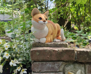 Oranje kat